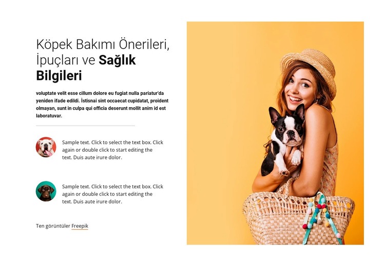 Köpek bakımı tavsiyesi Web Sitesi Mockup'ı