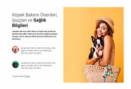 Köpek Bakımı Tavsiyesi