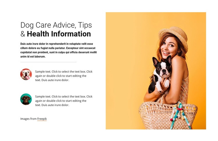 Dog care advice Web Page Design