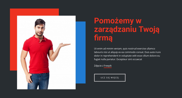 Pomagamy Ci lepiej zarządzać Twoim biznesem Motyw WordPress