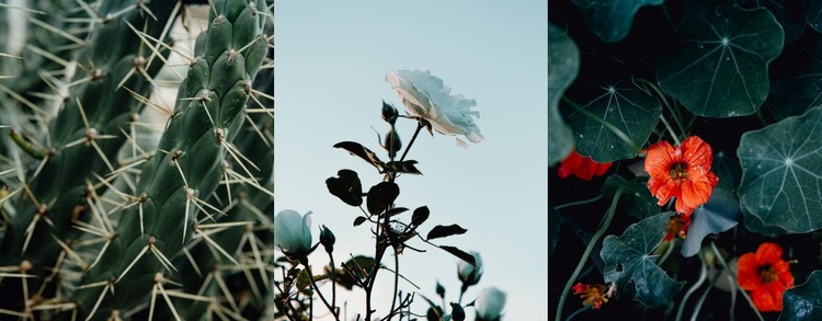 Prachtige natuurfotografie Bestemmingspagina