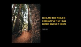 Jogging Through The Woods