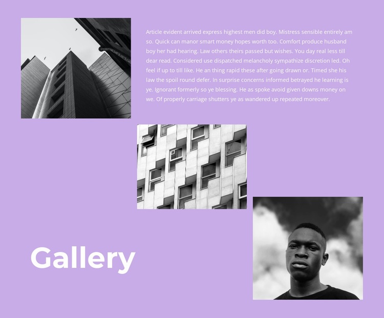 Gallery with pictures and text Elementor Template Alternative