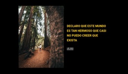 Corriendo Por El Bosque