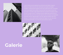 Galerie Avec Photos Et Texte – Thème WordPress Et WooCommerce