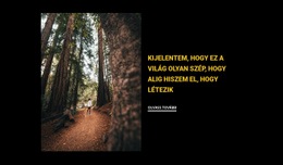 HTML Webhely A Következőhöz: Kocogás Az Erdőben