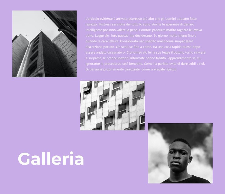 Galleria con immagini e testo Modelli di Website Builder