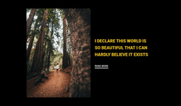 Jogging Through The Woods - Website Template