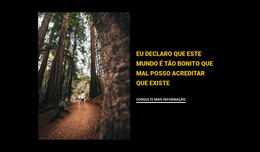 Site HTML Para Correndo Pela Floresta