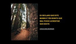 Correndo Pela Floresta - Modelo HTML5 Profissional