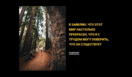 Бег По Лесу Мокап Веб-Сайта