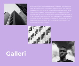 Galleri Med Bilder Och Text - WordPress & WooCommerce-Tema