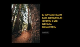 Ormanda Koşmak - Şablonlar Web Sitesi Tasarımı