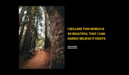 Jogging Through The Woods - Beautiful Homepage Design
