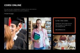 Tema HTML5 Per Impara La Programmazione, Il Marketing