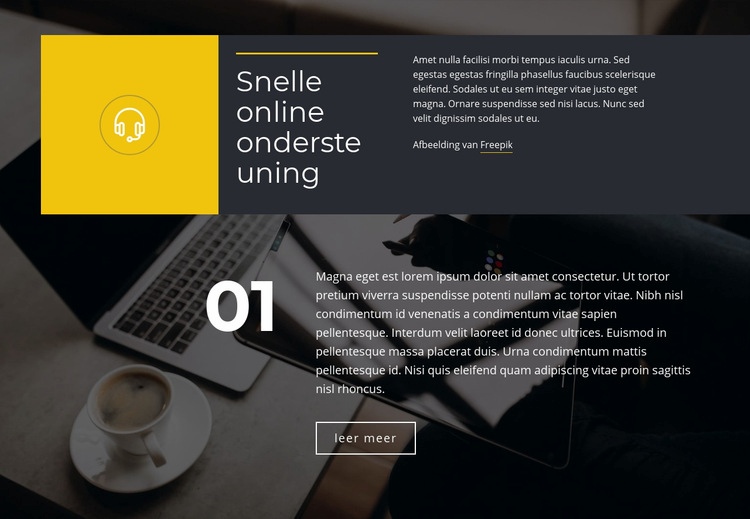 Snelle online ondersteuning Website mockup