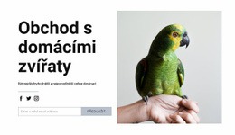 Ptačí Jídlo – Stažení Šablony HTML