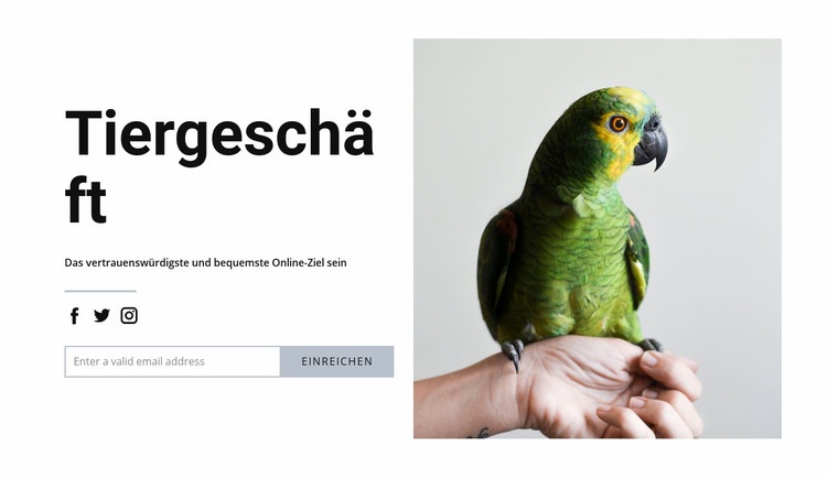 Vogelfutter Website design