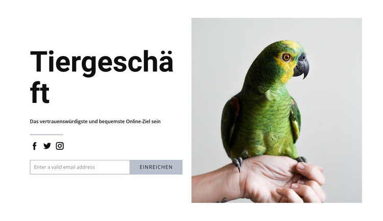 Vogelfutter Website-Modell