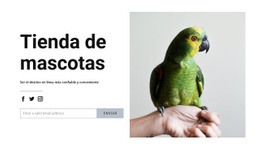 Diseñador De Sitios Web Para Comida De Pajaro