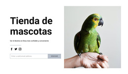 Comida De Pajaro: Plantilla De Sitio Web Sencilla