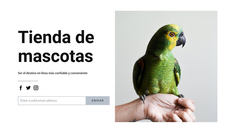 Comida de pajaro Tema de WordPress