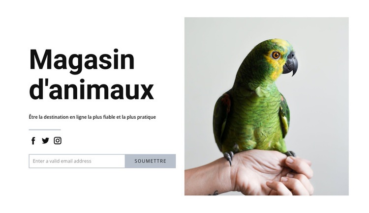 Nourriture pour oiseaux Conception de site Web