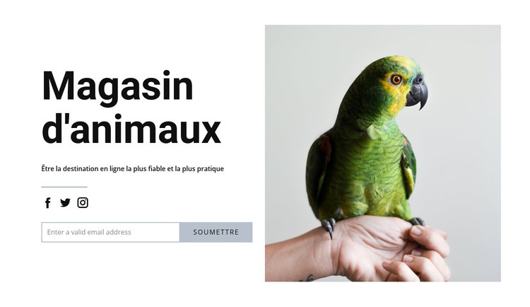 Nourriture pour oiseaux Créateur de site Web HTML