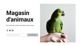 Nourriture Pour Oiseaux