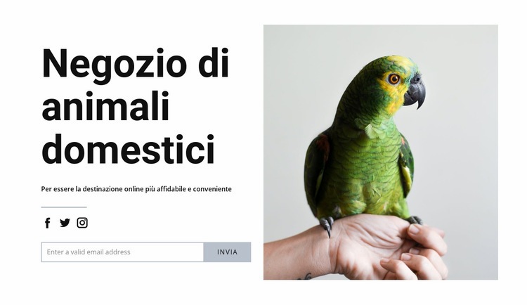 Cibo per uccelli Costruttore di siti web HTML