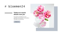 Tedere En Mooie Details