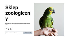 Projekt HTML Dla Pokarm Dla Ptaków