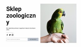 Pokarm Dla Ptaków Szablon Responsywny HTML5