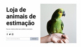 Designer De Site Para Comida De Passarinho