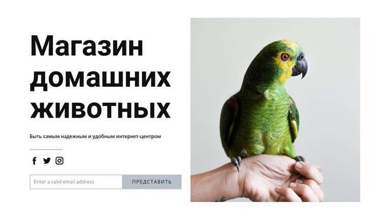 Корм для птиц HTML5 шаблон