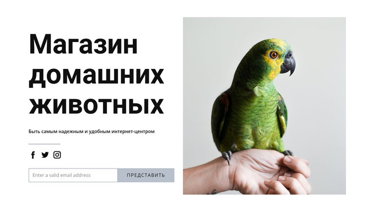 Корм для птиц Мокап веб-сайта
