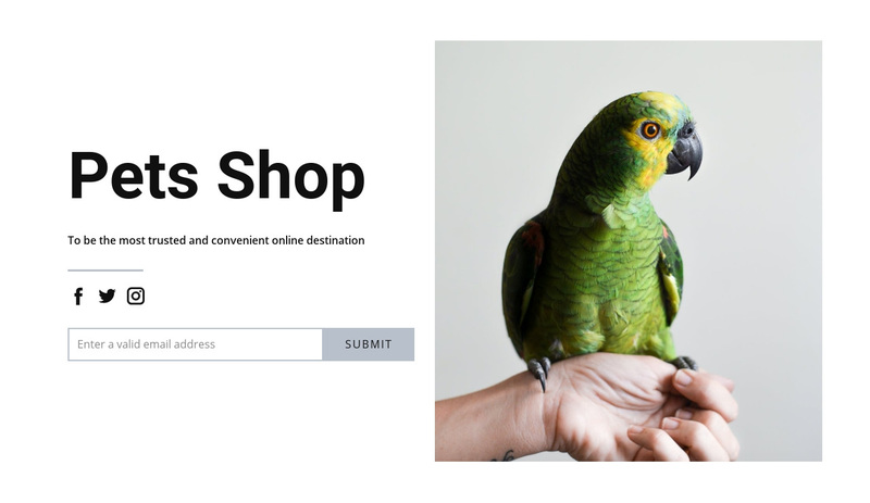 Bird food Squarespace Template Alternative