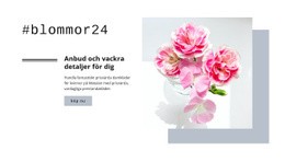 Ömt Och Vackra Detaljer CSS-Rutnätsmall