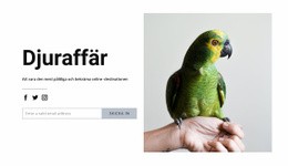 WordPress-Webbplats För Fågelmat