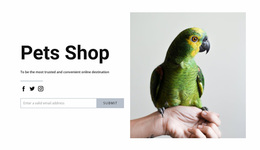 Multipurpose Website Design For Bird Food