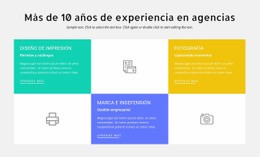 10 Años De Experiencia En Diseño - Plantillas De Diseño De Sitios Web