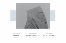 Tous Les Contacts Conception De Site Web