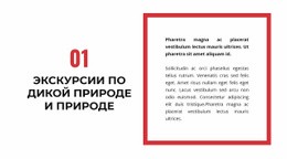 Конструктор Страниц Для Две Колонки