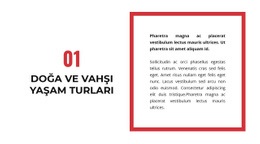 Iki Sütun Için Çarpıcı Web Tasarımı