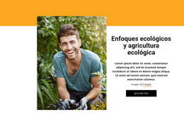 Sistema Agrícola Integrado: Plantilla HTML Básica