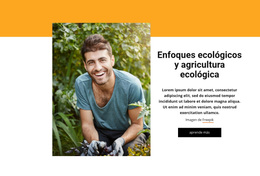 Sistema Agrícola Integrado - Tema De WordPress De Arrastrar Y Soltar