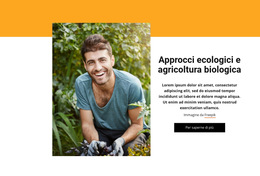 Sistema Agricolo Integrato - Modelli Di Siti Web Personali
