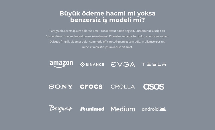 kiminle çalışıyoruz Web Sitesi Mockup'ı