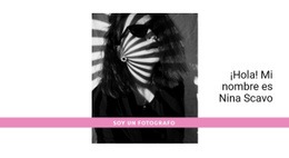 El Mejor Fotógrafo - Diseño De Funcionalidad