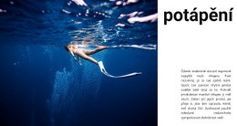 Potápění S Instruktorem – Vytvořte Úžasnou Šablonu